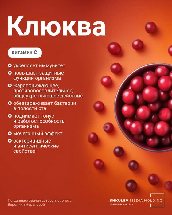 6 самых полезных ягод этой осени — с ними вам никакие витамины не понадобятся