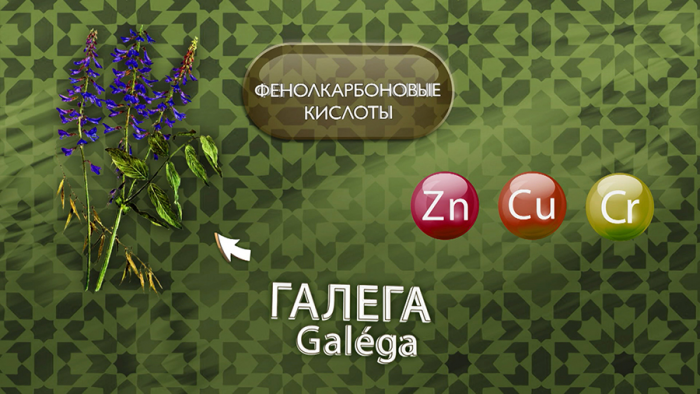 Галега при диабете