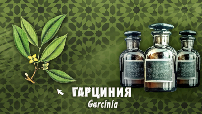 Гарциния для похудения