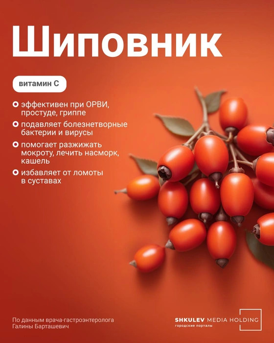 6 самых полезных ягод этой осени — с ними вам никакие витамины не понадобятся