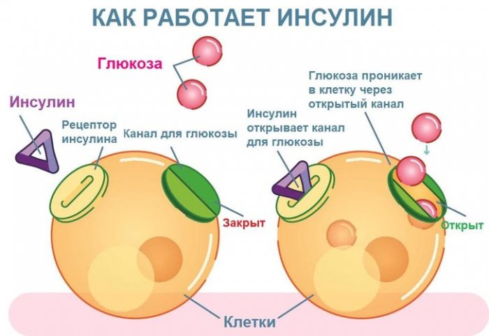 Сладость — не радость: чем опасен сахарный диабет и как от него уберечься