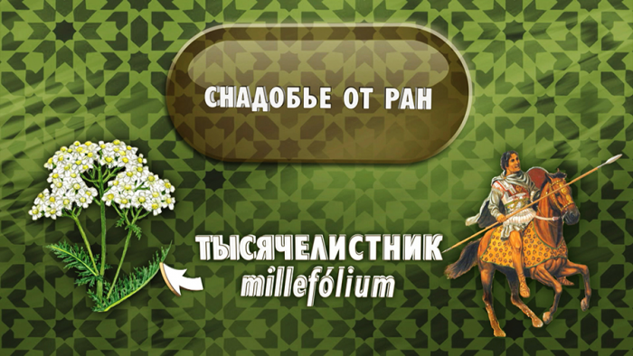 Тысячелистник от гастрита