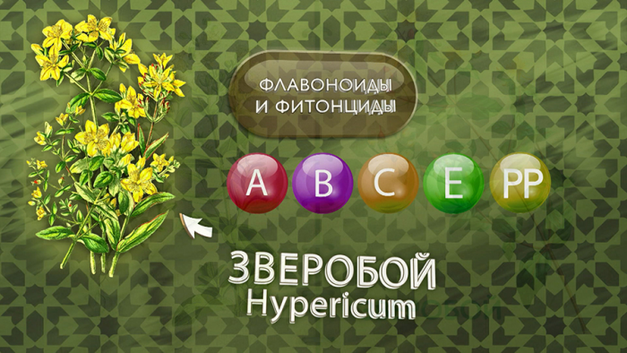 Зверобой от стресса