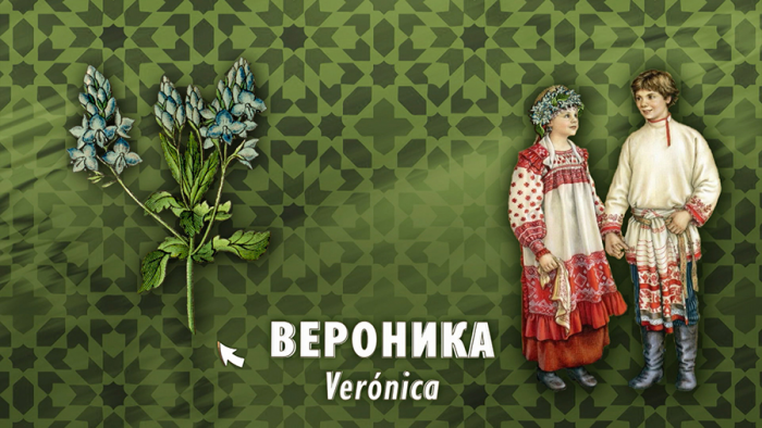 Вероника для кожи