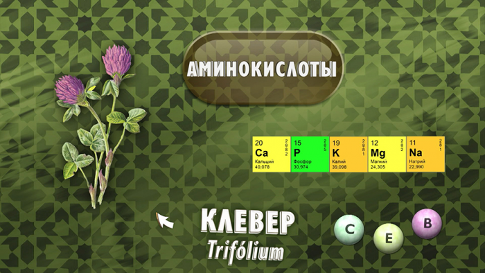 Клевер для сосудов