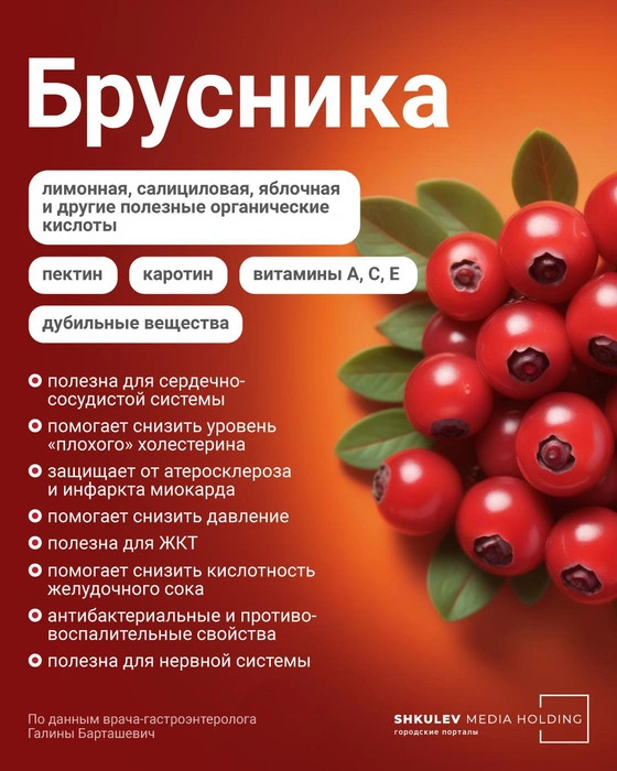 6 самых полезных ягод этой осени — с ними вам никакие витамины не понадобятся