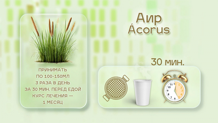Аир для аппетита