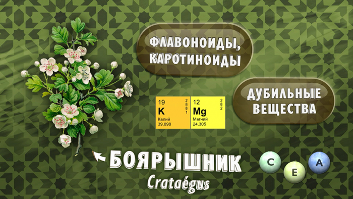 Боярышник для сердца