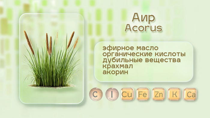Аир для аппетита