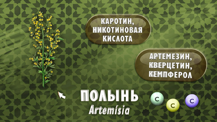 Полынь от простуды