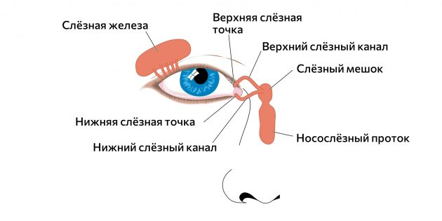 Почему слезятся глаза и что с этим делать