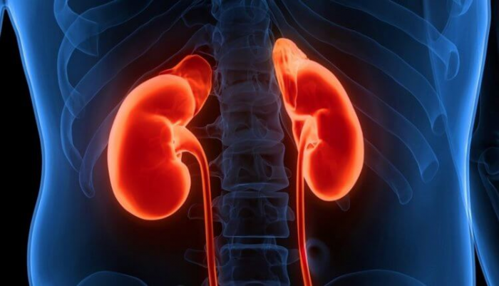 Эти 7 привычек каждый день разрушают наши почки