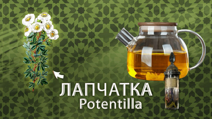 Лапчатка для щитовидки