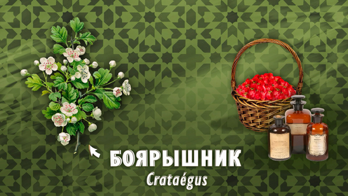 Боярышник для сердца