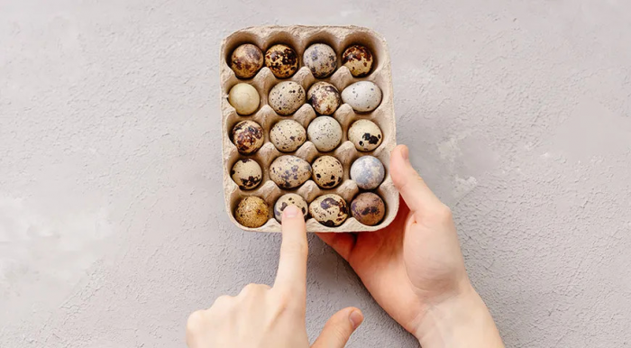Польза и вред перепелиных яиц для здоровья