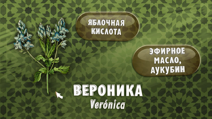 Вероника для кожи