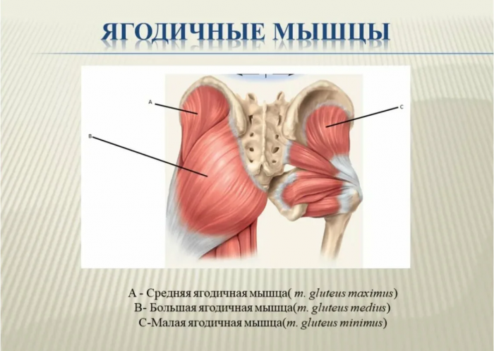 1 упражнение "ходьба в сторону", которое выводит лишнюю воду, подтягивает ноги и живота. Будет худеть всё тело