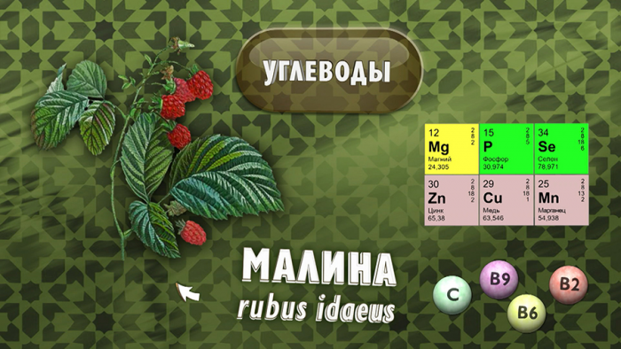 Малина-антибиотик