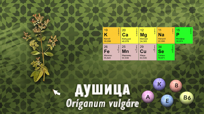 Душица для пищеварения