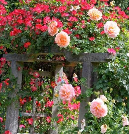 Почему люди толстеют после 40 лет и как это исправить