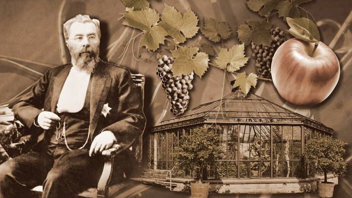 Склифосовский: хирург и садовод