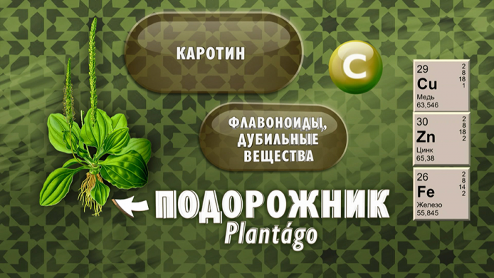 Подорожник для пищеварения