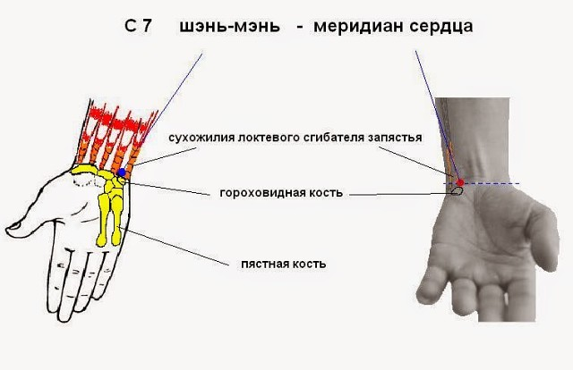 6 волшебных точек на руках от усталости, головной боли и проблем с сердцем