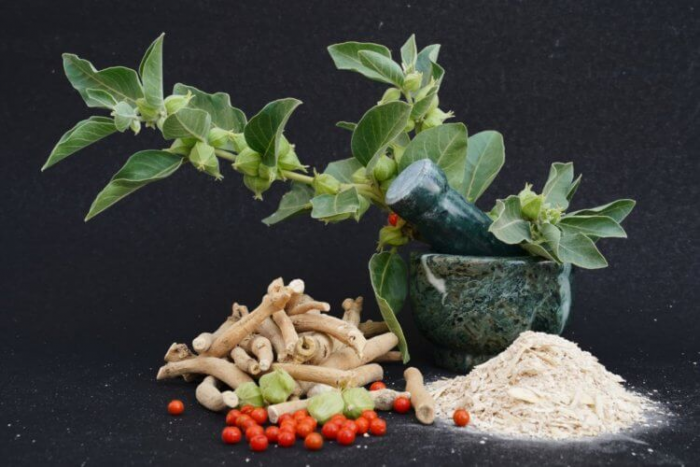 Эти травы улучшат память и здоровье мозга