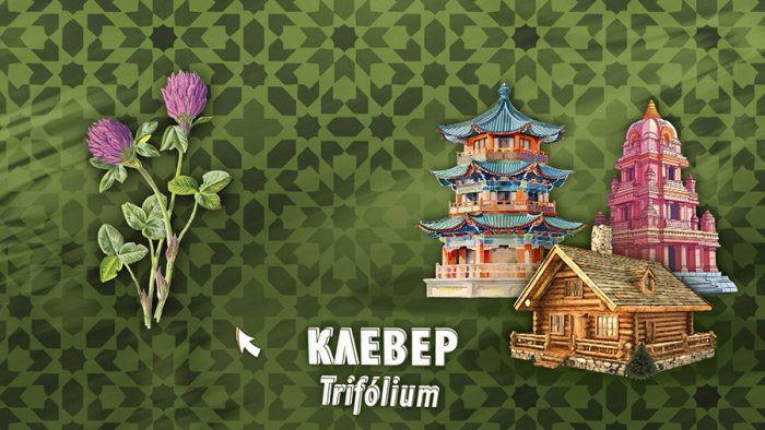 Клевер для сосудов