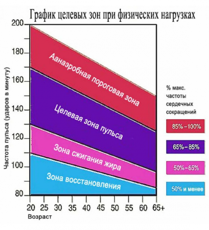 2 способа кардиоходьбы на месте: похудеет все тело, живот подтянется и с осанкой поработаем