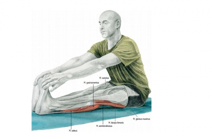 Почему для молодости лица и снятия напряжения со спины стоит растягивать заднюю поверхность ног