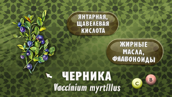 Черника для зрения