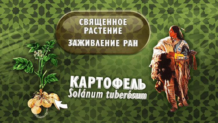 Картофель от кашля