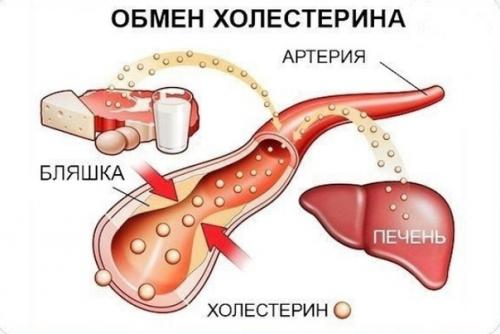 Мы снижаем уровень холистерина.