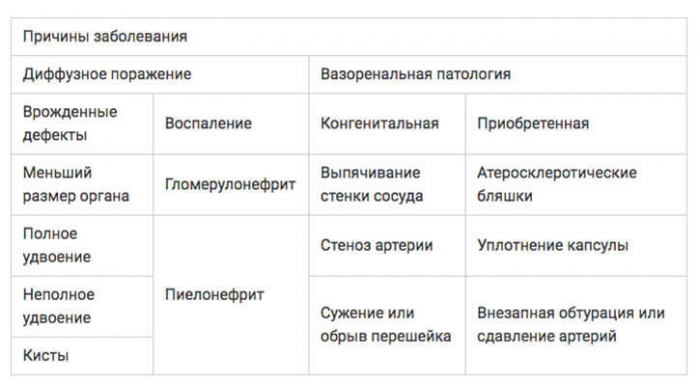 Почечная гипертония: повышение давления, связанное с почками