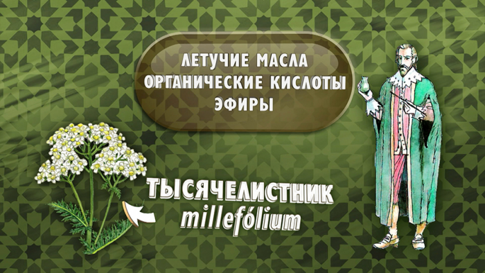 Тысячелистник от гастрита