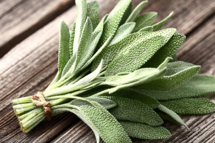 Эти травы улучшат память и здоровье мозга