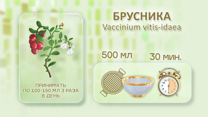Брусника для женского здоровья