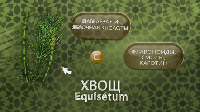 Хвощ для почек