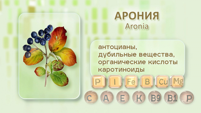 Черноплодка от давления