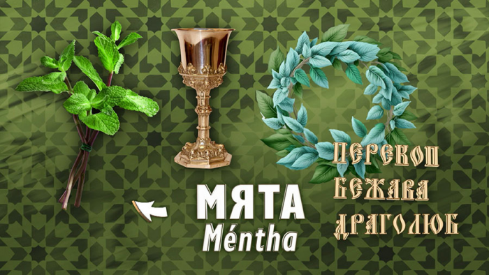 Мята для иммунитета