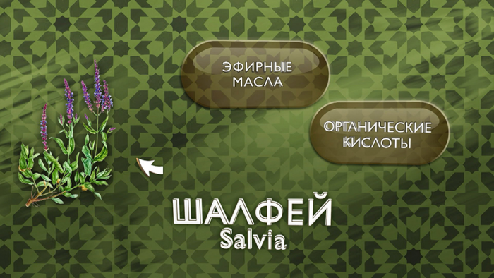 Шалфей при ангине