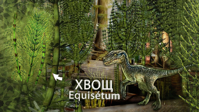 Хвощ для почек