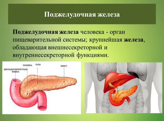 6 напитков, которые разрушают поджелудочную железу: раньше не знала о их вреде для здоровья