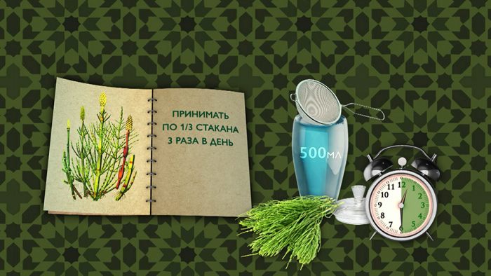 Хвощ для почек