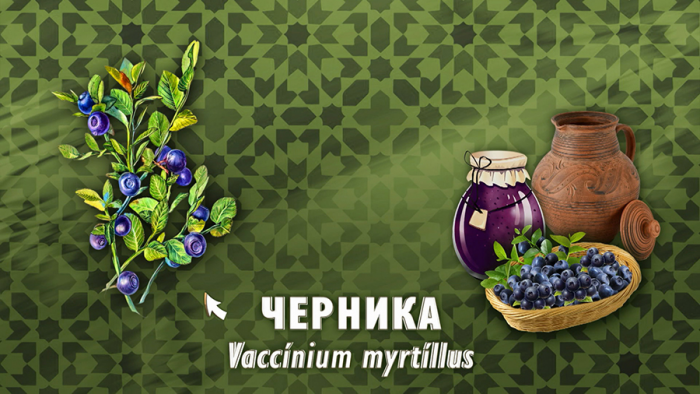 Черника для зрения