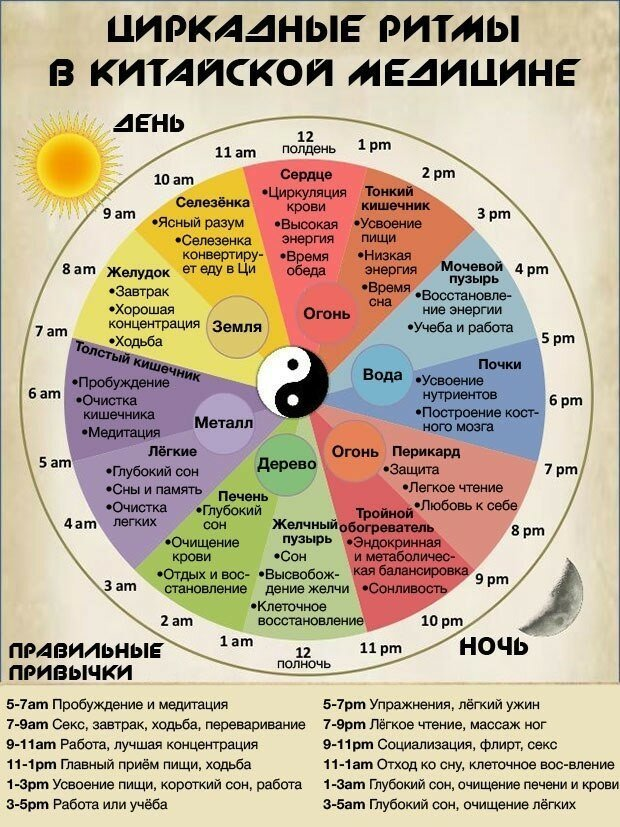 Строго по расписанию: Почему китайцы едят только в 12 дня и спят на рабочем месте