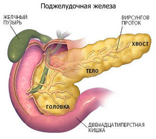 КАК ОЗДОРОВИТЬ ПОДЖЕЛУДОЧНУЮ ЖЕЛЕЗУ