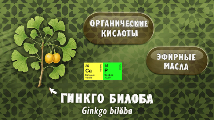 Гинкго для сосудов