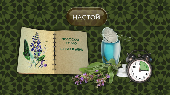 Шалфей при ангине